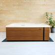 Load image into Gallery viewer, Master Spas® Michael Phelps Chilly GOAT™ Valaris - Dual Ice Bath and Hot Tub
