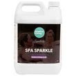 Load image into Gallery viewer, Hot Tub Spa Sparkle
