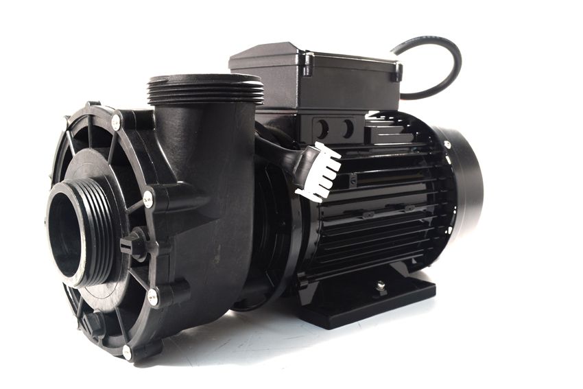 LX WP200-II 2HP 2 Speed Pump for Platinum Spas Tahiti Hot Tubs - WP200