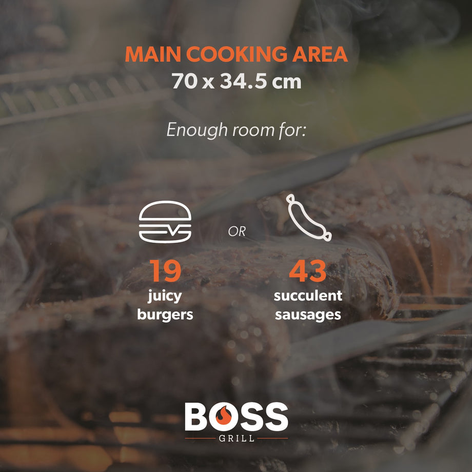 Boss Grill Deluxe Portable - 2 Burner Gas BBQ Grill with Trolley
