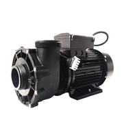 LX Whirlpool LP200 2 HP 1 Speed Pump Compatible With Multiple Brand Including Jacuzzi J200/J300/J400/J500
