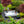 Load image into Gallery viewer, Outdoor Living Santorini
