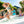 Load image into Gallery viewer, Sun &amp; Soul™ 300™
