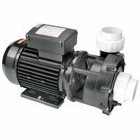 LX WP250 2.5HP 2 SPEED Compatible With Multiple Brands Including Jacuzzi J200/J300/J400/J500
