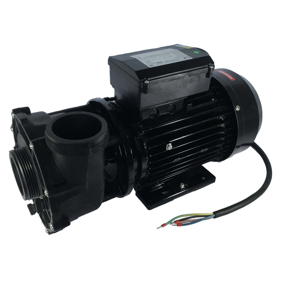 Jacuzzi® Lodge™ 2 Speed Hot Tub Pump - 930108654