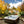 Load image into Gallery viewer, Jacuzzi® J485IP™
