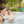 Load image into Gallery viewer, Jacuzzi® J245™ / J245IP™ - 7 Person Hot Tub
