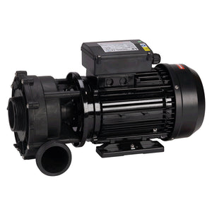 Jacuzzi® 2 Speed Hot Tub Pump